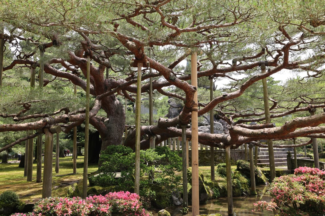 June 23, 2023 - Kanazawa: Kenrokuen Garden, Samurai District, back to Tokyo