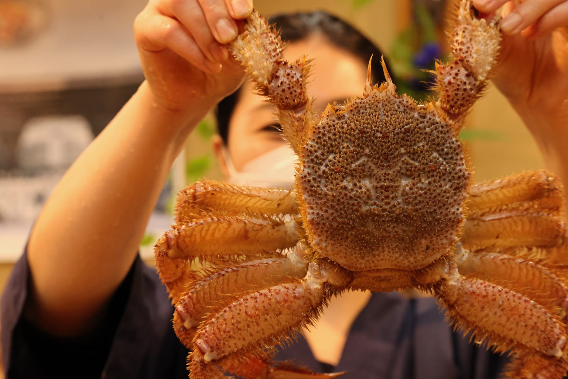 June 22, 2023 - Kanazawa: Omicho Market, Ninja Temple, Gyokusen-en